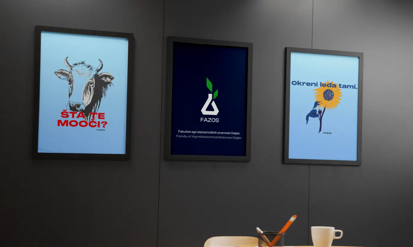 FAZOS marketing campaign, Dritos Development